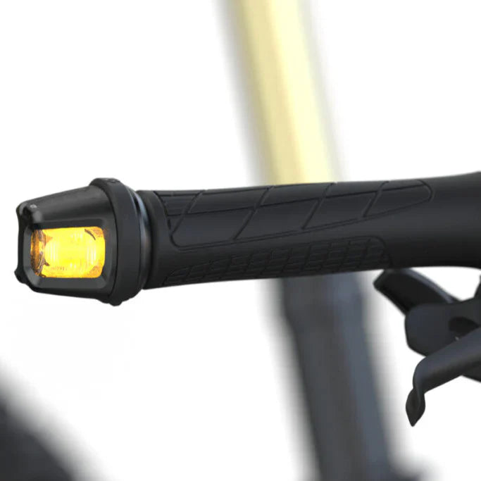 Turn Signal System