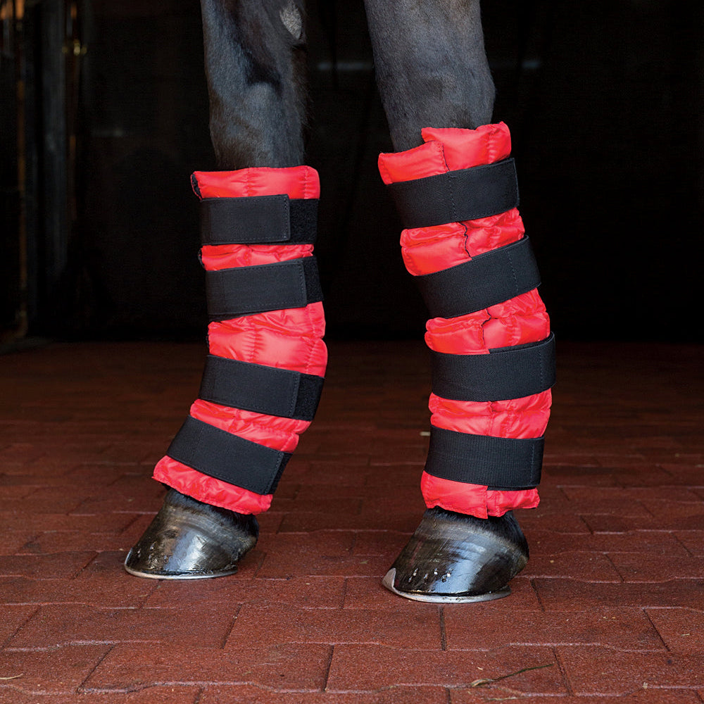 Horse leg cooling boots