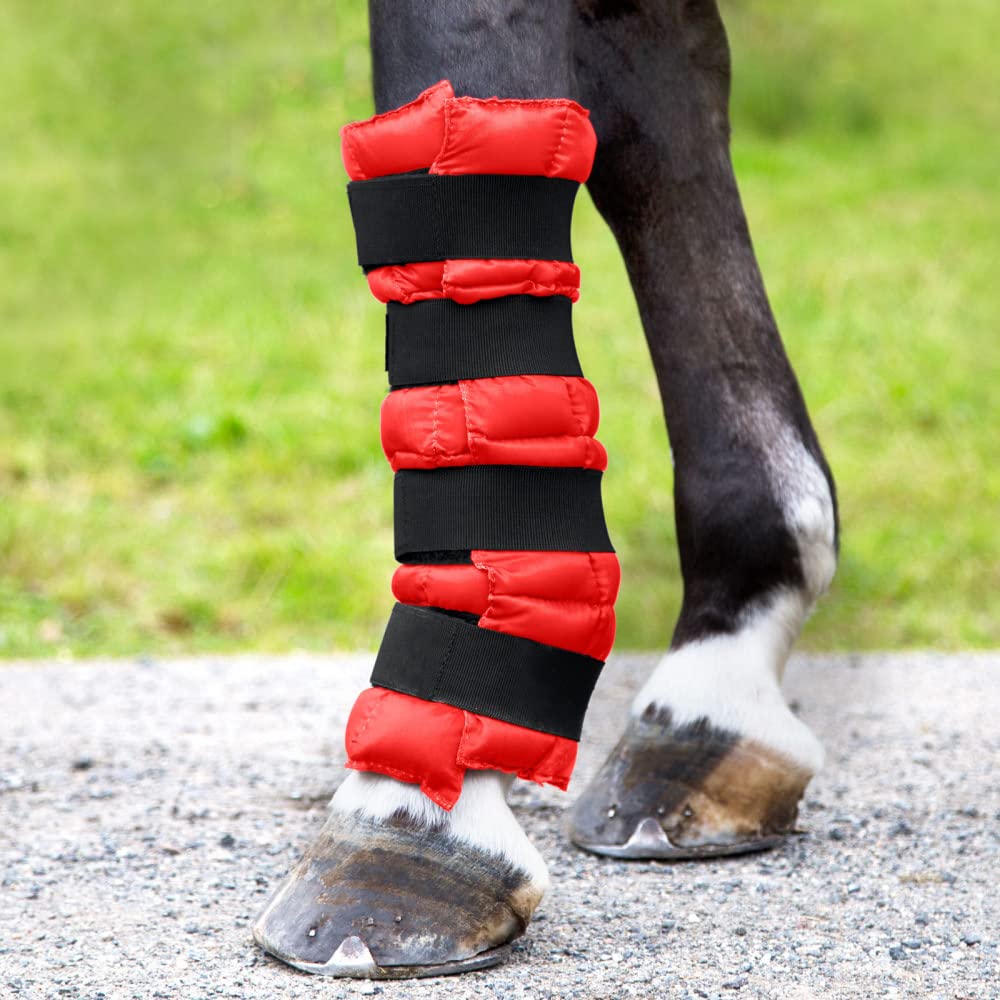 Horse leg cooling boots
