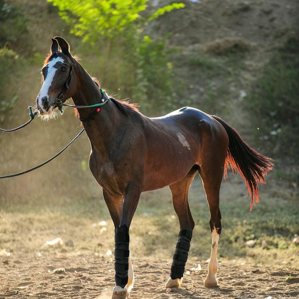 Horse leg cooling boots