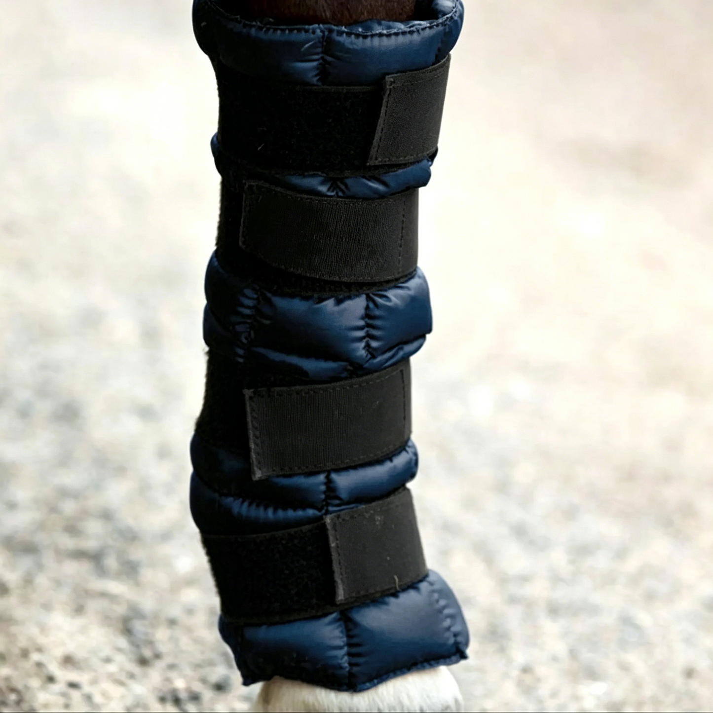 Horse leg cooling boots