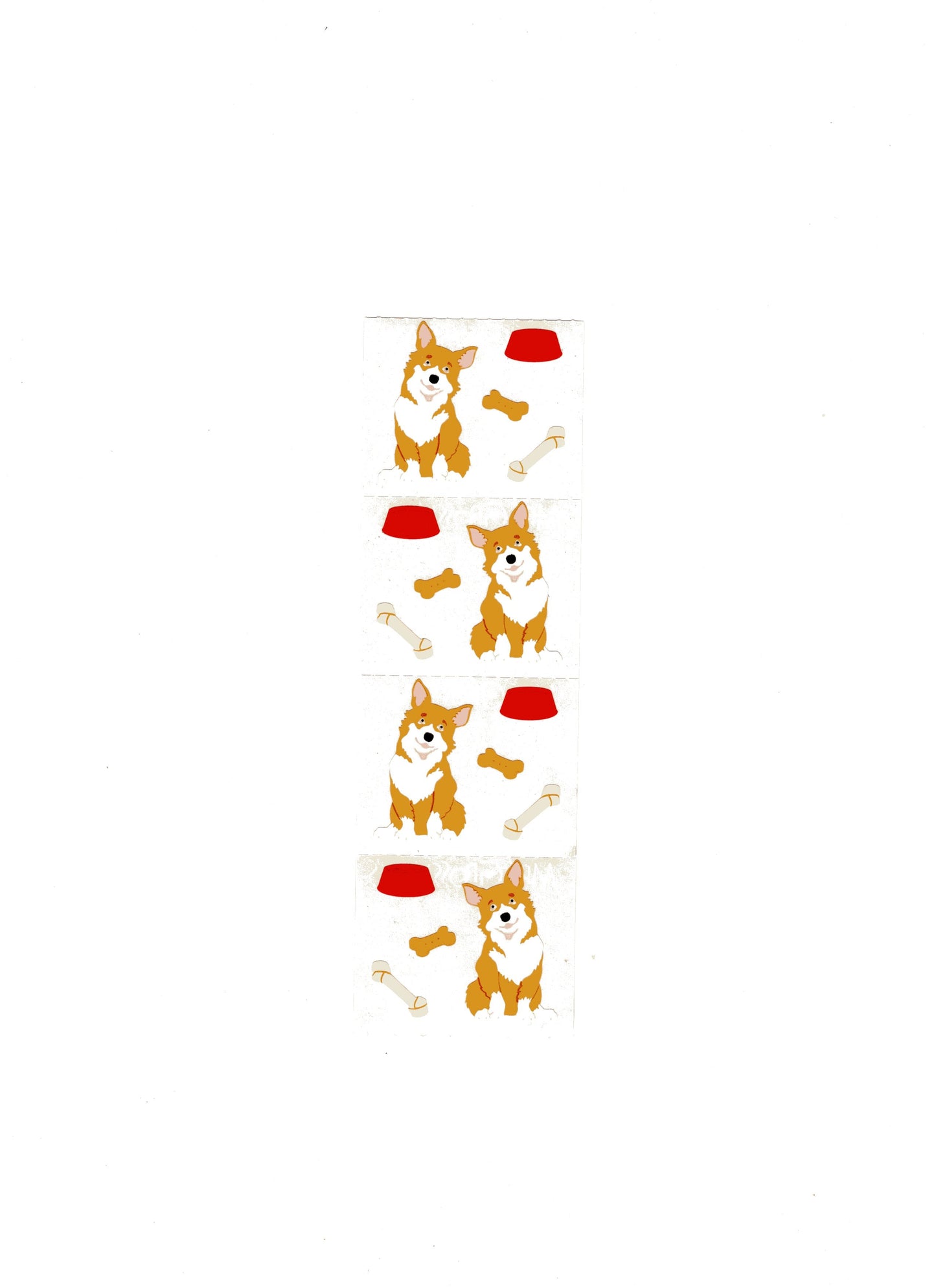 Welsh Corgi