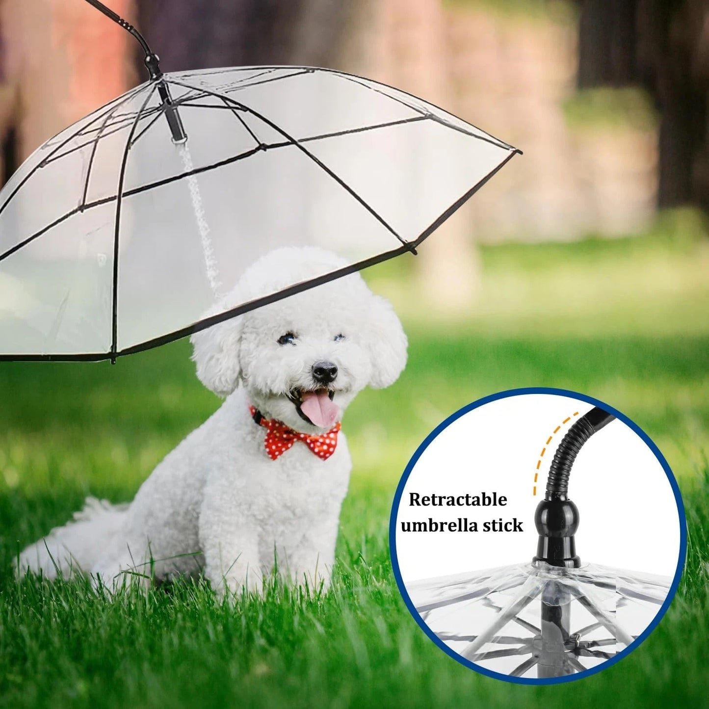 Transparent Foldable Pet Leash – Rain Protection, Adjustable Length, Portable