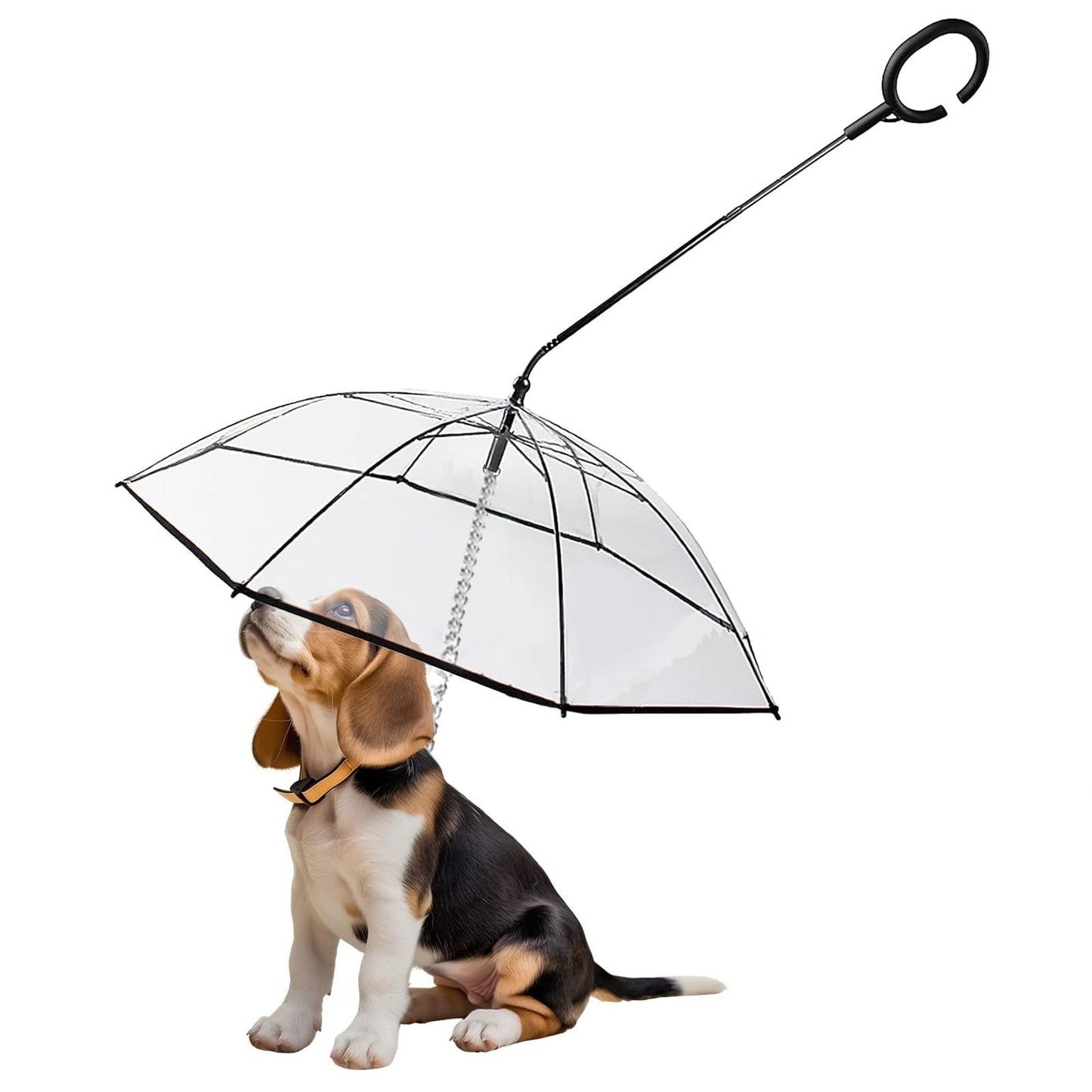 Transparent Foldable Pet Leash – Rain Protection, Adjustable Length, Portable