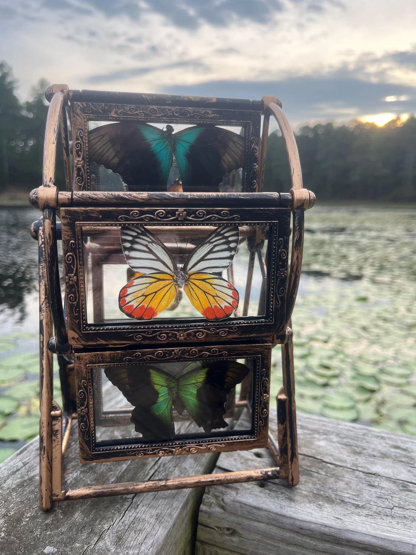 Butterfly Ferris Wheel - Randomly select a whimsical Ferris wheel