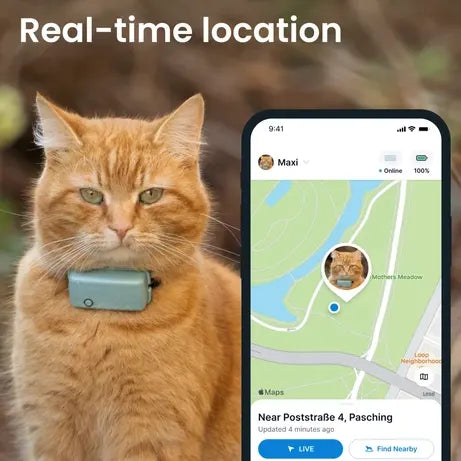 Mini GPS Cat Tracker – Real-Time Location & Activity Monitor with Safety Collar