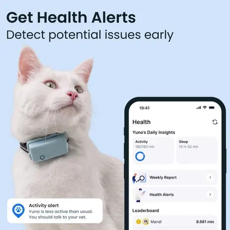 Mini GPS Cat Tracker – Real-Time Location & Activity Monitor with Safety Collar